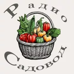 Радио Садовод